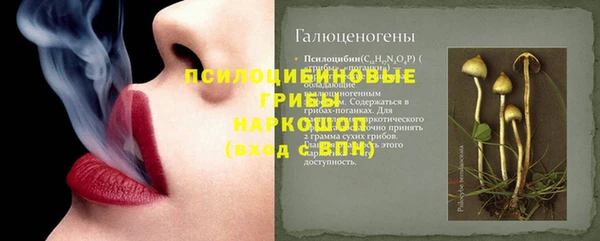 каннабис Богданович