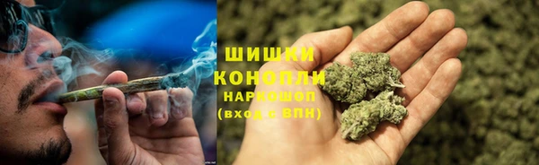 каннабис Богданович