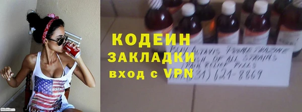прущие грибы Богородицк
