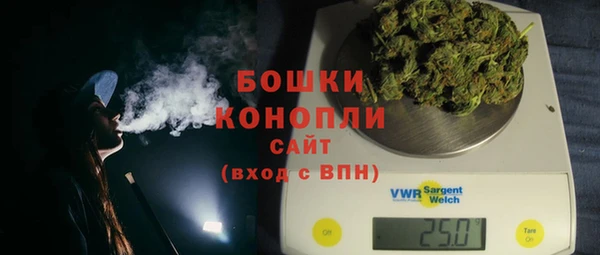 прущие грибы Богородицк