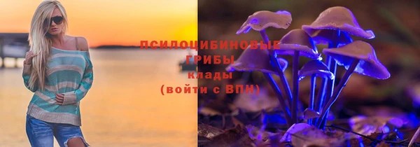 jwh Богородск