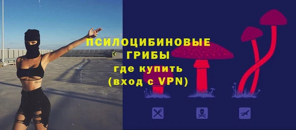 jwh Богородск