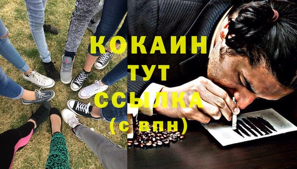 прущие грибы Богородицк