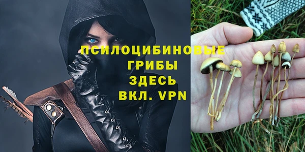 jwh Богородск