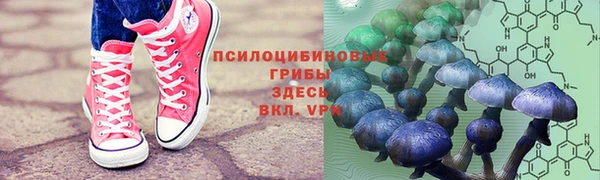 каннабис Богданович