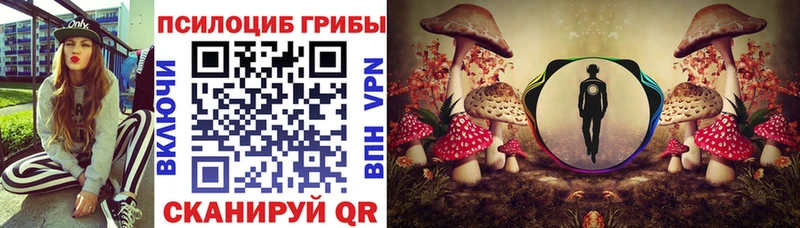Галлюциногенные грибы мухоморы  где можно купить наркотик  Сланцы 